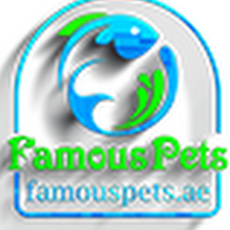 Famous Pets