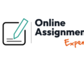 Online Assignment Expert