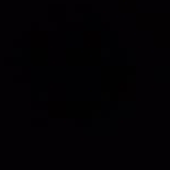 Muhammad Shehroz  Nazir 