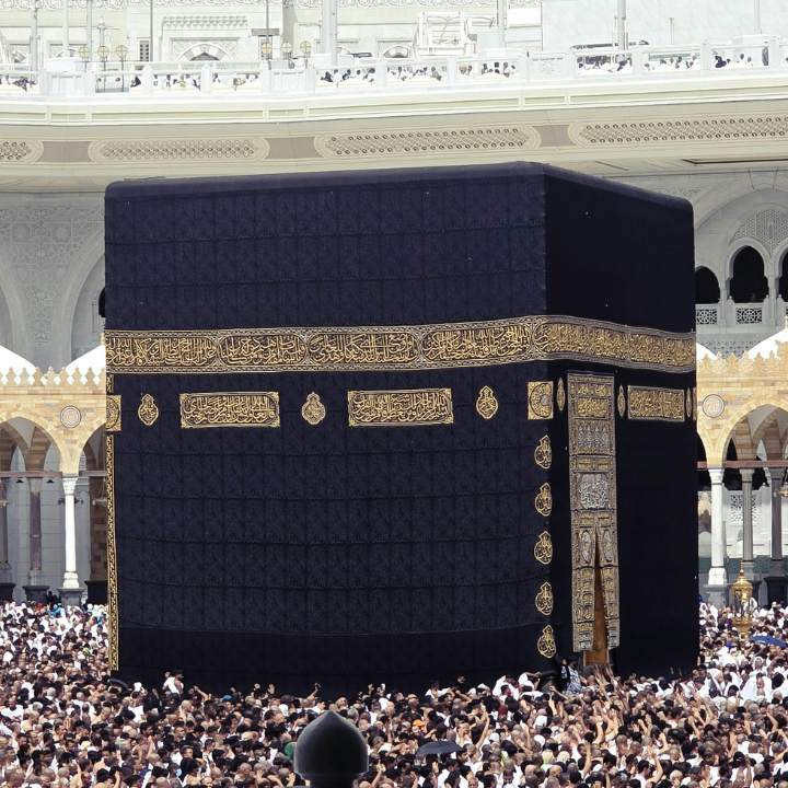 Taqwa Tours