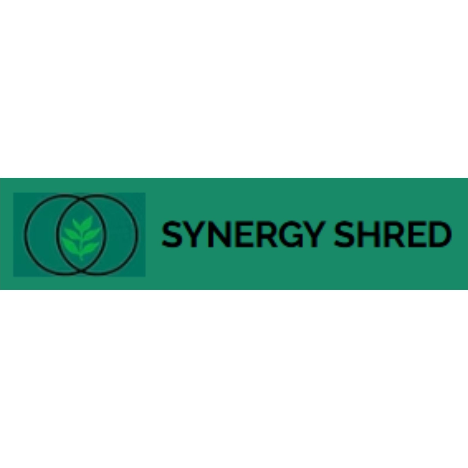 Synergy  Shred