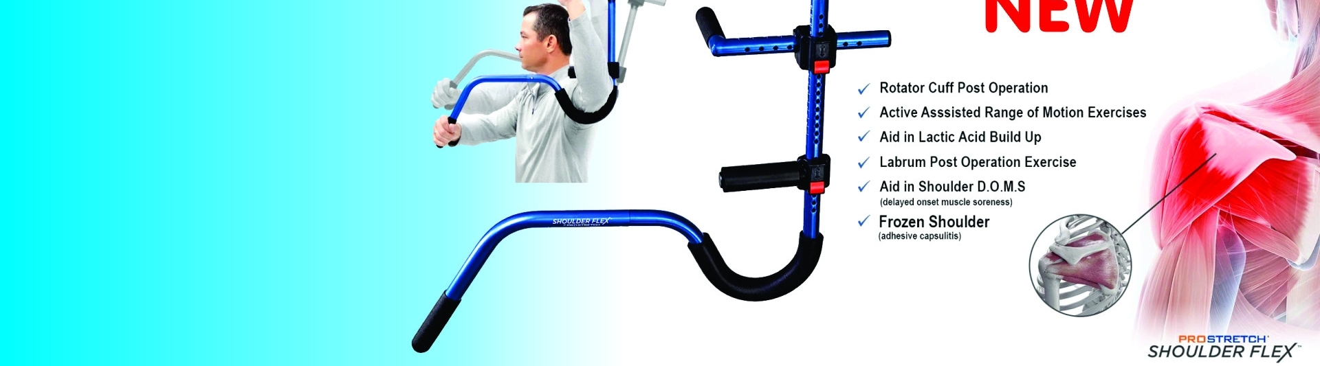 Bodyassist Health And Wellness