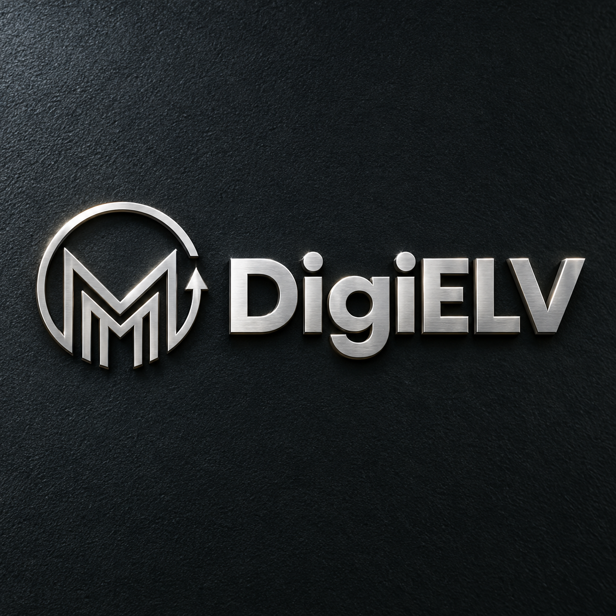 DigiELV DigiELV
