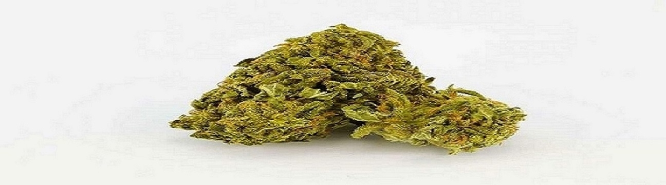 Green  Therapy