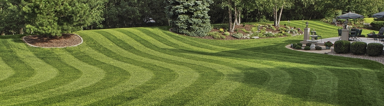 Bradley  Landscapeing