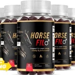 Horsefil Website