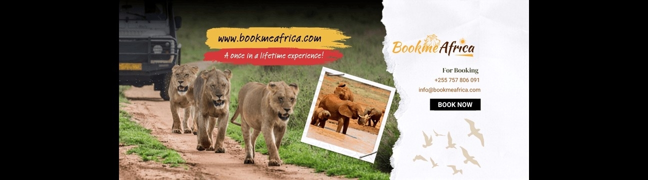 Book Me Africa