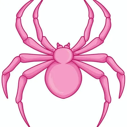 Spide Rhoodies