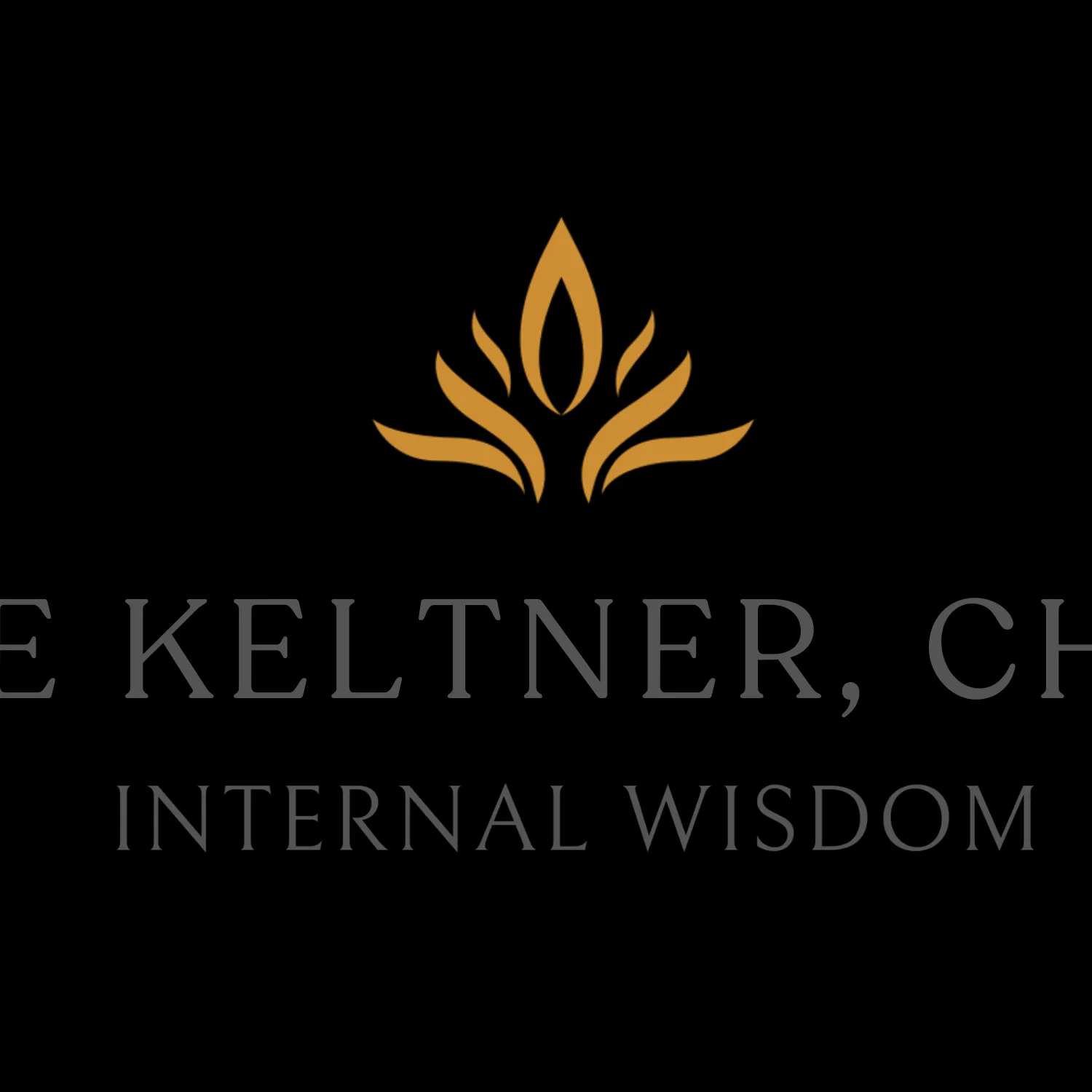  Internal  Wisdom